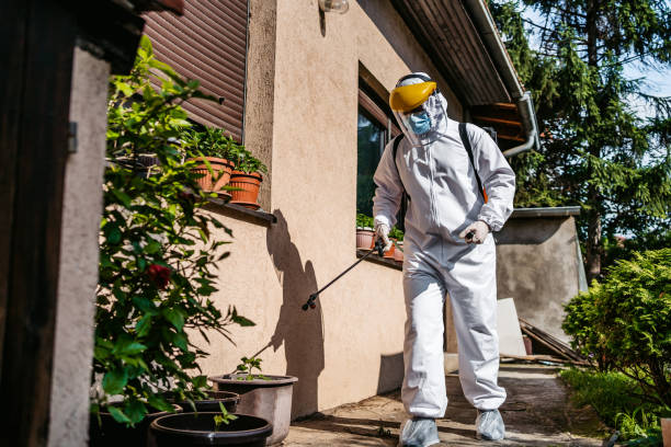 Best Flea Control Services  in Mshall, AR
