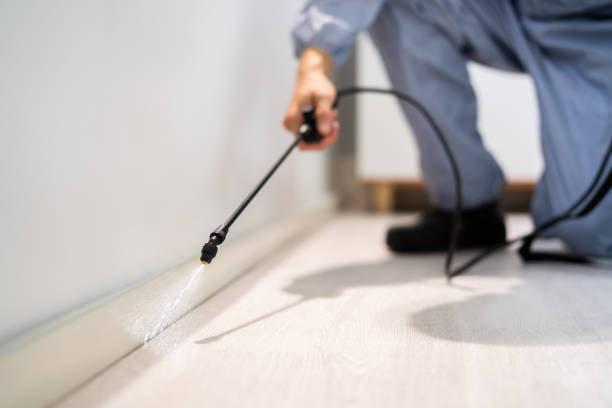 Best Commercial Pest Control Services  in Mshall, AR