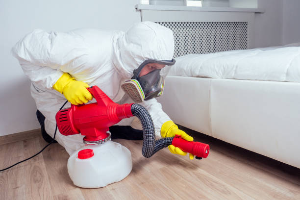 Best Rat Extermination Near Me  in Mshall, AR