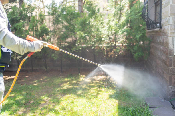 Best Mosquito Control Services  in Mshall, AR