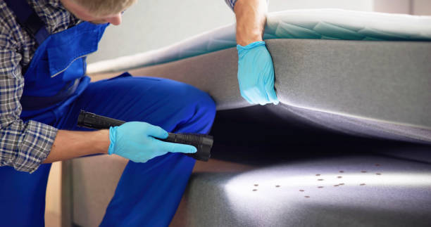 Best Ant Control Services  in Mshall, AR