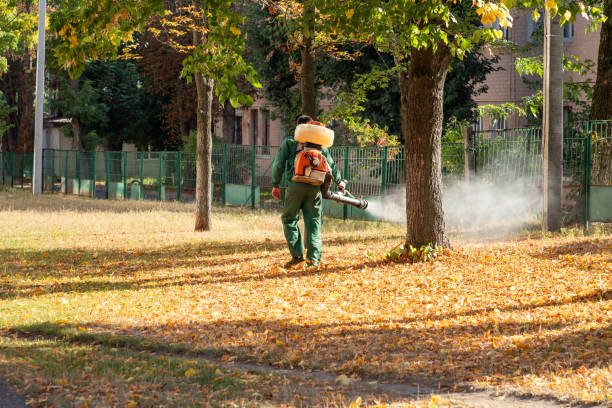 Best Cockroach Control Services  in Mshall, AR
