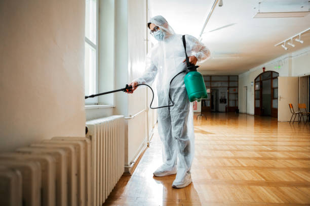 Best Cockroach Control Services  in Mshall, AR
