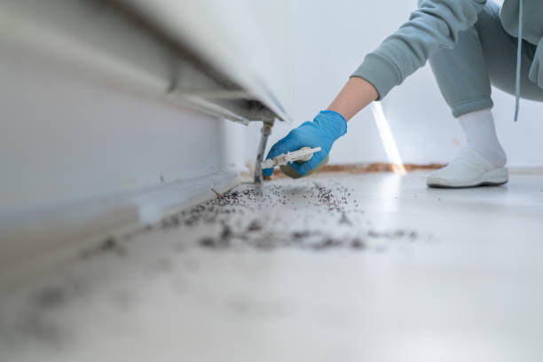 Best Bed Bug Extermination  in Mshall, AR