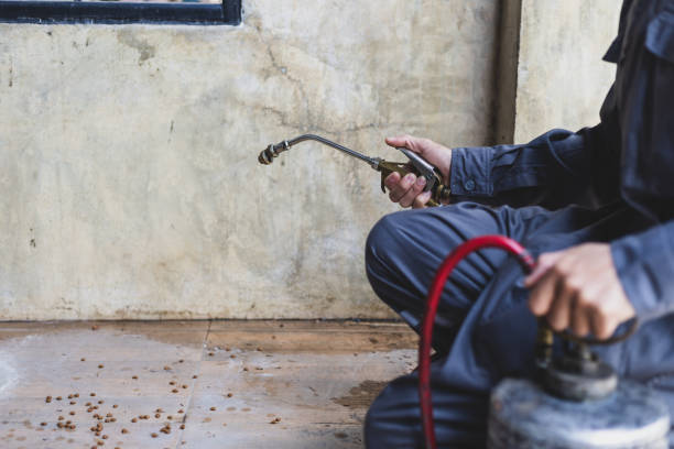 Best Commercial Pest Control Services  in Mshall, AR